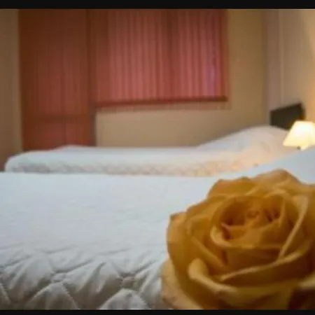 патриция * Ruse